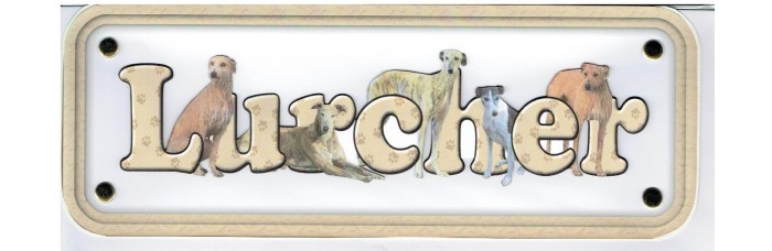 Lurcher - mixed hair